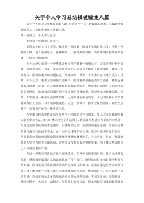 关于个人学习总结模板锦集八篇