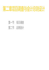 会计制度设计——第二章项目调查与会计总则设计(1)