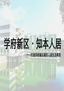 伟业_天津学府新区语态村项目分析报告_77PPT