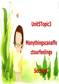 Many-things-can-affect-our-feelings教学课件6-仁爱版