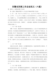 民警试用期工作总结范文（六篇）