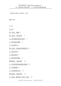 信息网站项目推广计划（DOC22页）