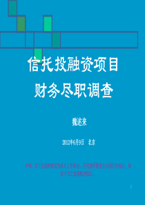 信托投融资项目尽职调查分析