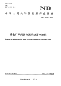 NBT 20062-2012 核电厂不间断电源系统蓄电池组