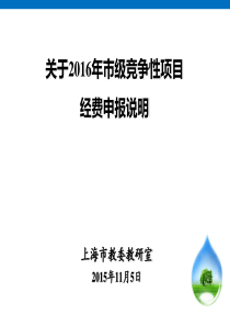 关于XXXX年市级竞争性项目经费申报说明