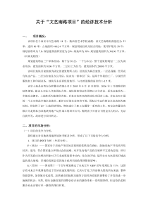 关于文艺南路项目的经济技术分析