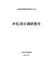 冷轧项目调研报告1107