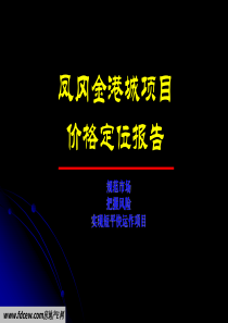 凤冈金港城项目价格定位报告