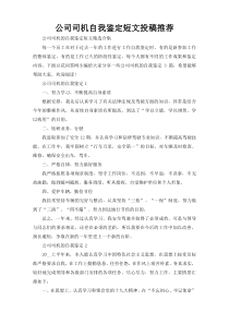 公司司机自我鉴定短文投稿推荐