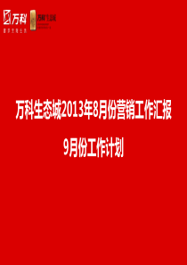 别墅项目月报