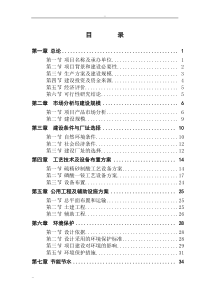 制酸及10万吨磷酸一铵项目可行性研究报告-