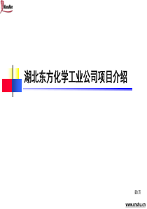 北大纵横-湖北东方化学工业-项目建议书