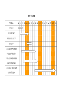 北大纵横—华鲁集团项目计划