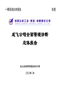 北大纵横成飞集团项目诊断报告