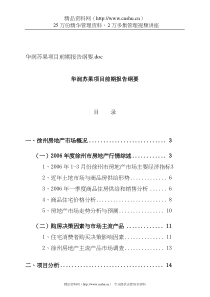 华润苏果项目前期报告提要