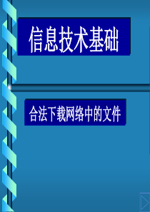 电子表格软件的使用