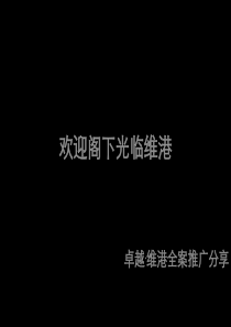 卓越维港项目推广案例0424