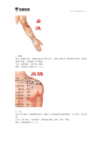 2018临床执业医师综合知识点(三十)