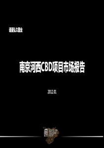 南京河西cbd项目市场报告161888205