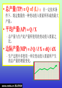 南开大学MBA课件《项目管理》