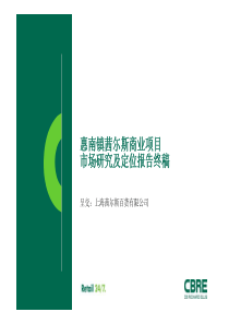 南汇惠南镇商业项目定位报告(Final-完整版XXXX0913)