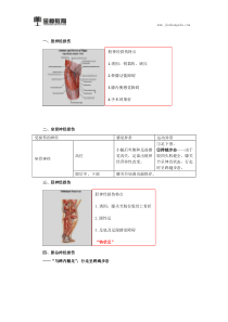 2018临床执业医师综合知识点(两百六十一)