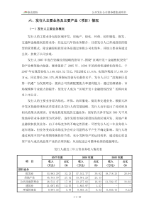 发行人主要业务及主要产品(项目)情况