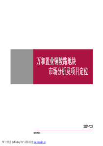 合肥万和铜陵路项目市场定位报告