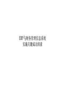 ERP与财务管理信息系统实施关键成功因素讲座