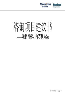 咨询项目建议书 ———项目目标、内容和方法