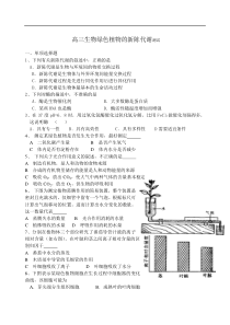 高三生物绿色植物的新陈代谢测试