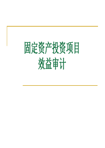 固定资产投资项目效益审计新