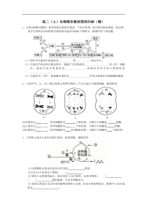 高二上学期生物期末复习--图形题集锦