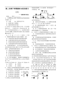 高二生物下学期遗传与优生练习2