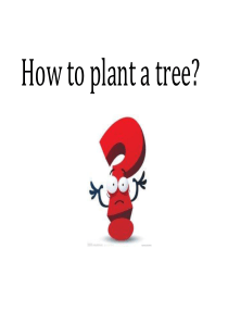 How-to-plant-a-tree