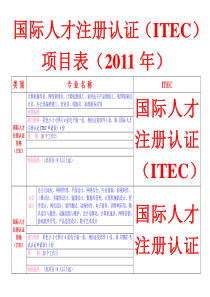 国际人才注册认证考试项目XXXX年