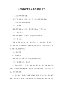 护理组织管理体系及职责分工