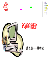 PE和PP介绍