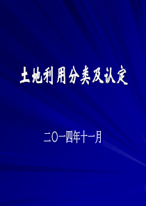 土地整治项目地类认定_合同协议_表格模板_实用文档