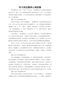 学习两会精神心得投稿