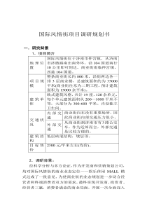 国际风情街项目调研规划书（DOC 11页）