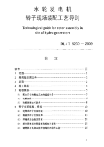 DLT 5230-2009 水轮发电机转子现场装配工艺导则