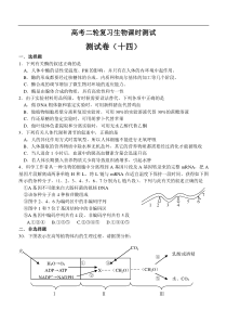 高考二轮复习生物课时测试14