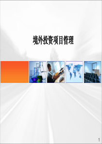 境外投资项目管理（PPT35页)