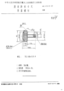 HB 6723.9-1993 深度游标卡尺 紧固螺钉