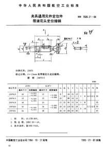 HB 7026.21-1994 夹具通用元件定位件 带滚花头定位插销