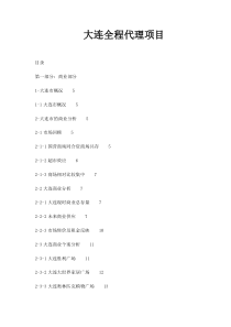 大连全程代理项目doc67(1)