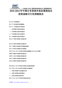 2018-2024年中国分布系统市场发展规划及投资战略可行性预测报告