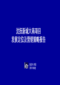 天启开启XXXX年4月抚顺市沈抚新城大商项目发展定位及营