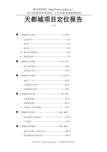 天都城项目定位报告